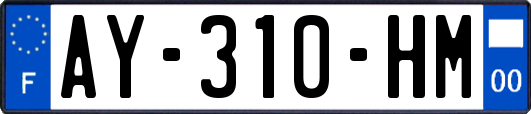 AY-310-HM