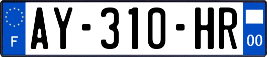 AY-310-HR