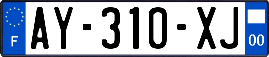 AY-310-XJ