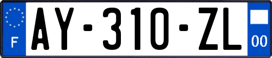 AY-310-ZL