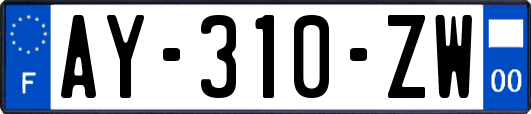 AY-310-ZW
