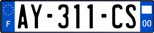 AY-311-CS