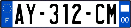 AY-312-CM