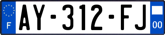 AY-312-FJ