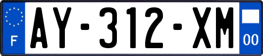 AY-312-XM