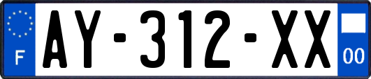 AY-312-XX
