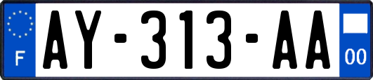 AY-313-AA