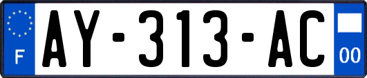 AY-313-AC