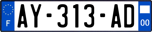 AY-313-AD