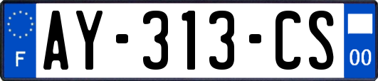 AY-313-CS