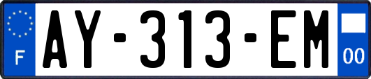 AY-313-EM