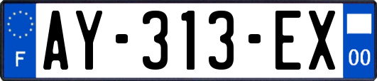 AY-313-EX