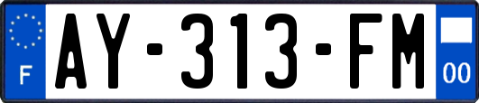 AY-313-FM