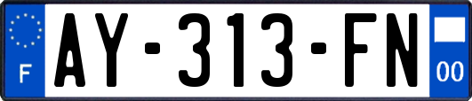 AY-313-FN
