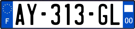 AY-313-GL