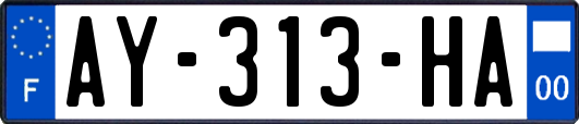 AY-313-HA