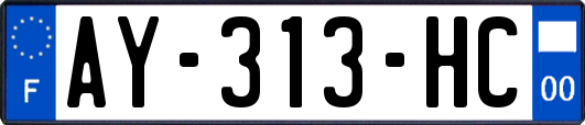 AY-313-HC