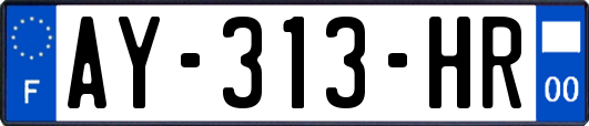 AY-313-HR