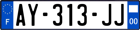 AY-313-JJ