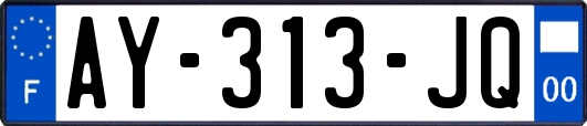 AY-313-JQ