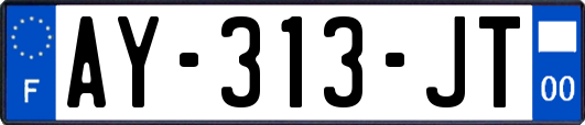 AY-313-JT