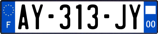 AY-313-JY