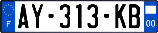 AY-313-KB