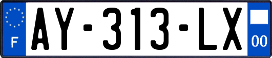 AY-313-LX