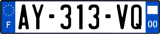 AY-313-VQ