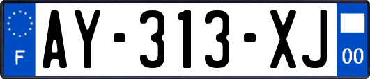 AY-313-XJ