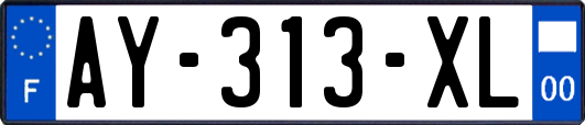 AY-313-XL