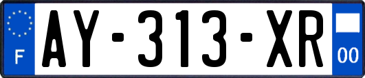AY-313-XR