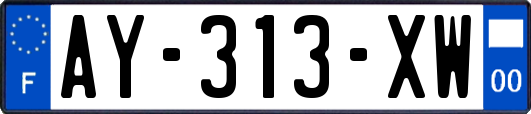 AY-313-XW
