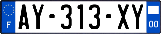 AY-313-XY