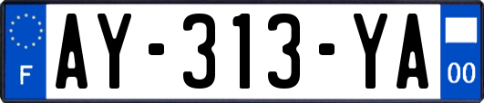 AY-313-YA