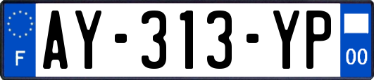 AY-313-YP