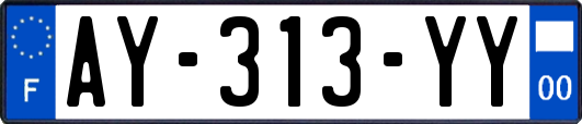 AY-313-YY
