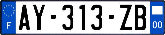 AY-313-ZB