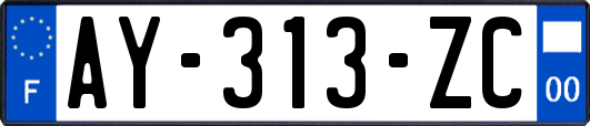 AY-313-ZC
