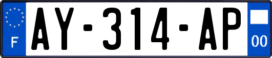 AY-314-AP