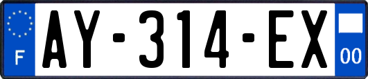 AY-314-EX