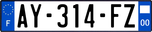 AY-314-FZ