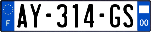 AY-314-GS