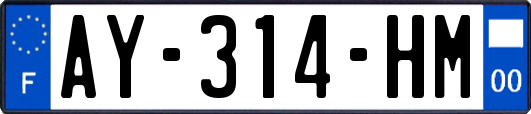 AY-314-HM