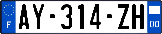 AY-314-ZH