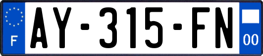AY-315-FN