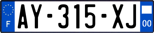 AY-315-XJ