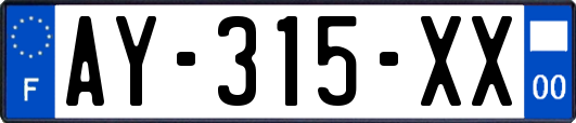 AY-315-XX