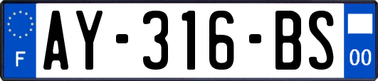 AY-316-BS