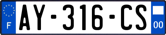 AY-316-CS